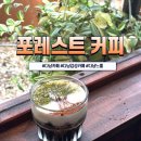 다낭 카페 추천 Forest Coffee Da Nang, 미케비치 앞 아트 예쁜 다낭 솔트커피 맛집