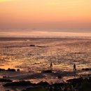 바다, 생명을 담다 이미지