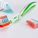 부산강아지분양 드림독 안심분양센터 부산점 이미지