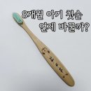 닥터모먼트 | 8개월 아기 칫솔 추천 닥터노아 내돈내산 후기|8개월 아기 칫솔 언제부터 바꿔야 할까?