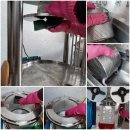 가월가물치 이미지