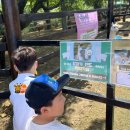 🌳🌱즐거움이 가득한 가산수피아로 떠나요-첫번째 이야기🌷🌳 이미지