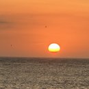 학암포한스하우스 이미지