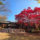 호텔정관루별관(게스트하우스) 이미지