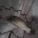 백두산낚시터 이미지