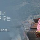 행복꽃농원 이미지