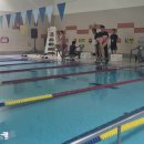 2025년 속초시 체육회장배 수영대회 (자유형-김현미,서경렬,조영하&amp;이대선,박기현,장두성) 이미지