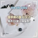 진세탁마트 이미지