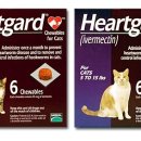 강남하트약국 이미지