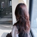 예뻐할게 펫 살롱 | 한남동 미용실 추천! 긴머리 하이 레이어드펌 후기, 츄 헤어컷 복붙? 토와에 한남