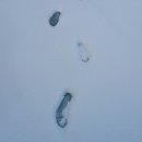 보은의 집 이미지