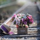 솟대광장 화장실 | 2025 철원 고석정가을꽃축제, ‘평화의 꽃바다’에서 만나는 감동가득 가을 나들이