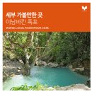 고래곰탕 | 세부여행 오슬롭 고래상어, 모알보알 거북이 스노클링까지 로컬페이지 오모팩 내돈내산 후기!