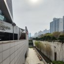 인천광역시 삼산월드체육관(수영 자유수영 월수금) | 인천 삼산월드체육관 수영장 수린이 주말 자유수영 후기 (리뉴얼로 쾌적함, 넓은 레일, 수질 깨끗해...