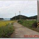 대곡농로 이미지