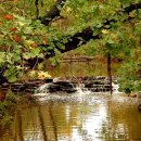 마켓인사이드 이미지