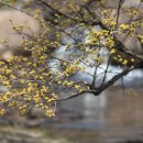 화전2리 경로당 이미지