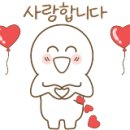 커스텀매니아
