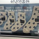 안녕 경주야 이미지