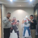 버팔로 복싱 이미지