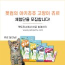 펫츄츄 이미지