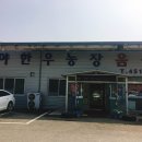 군산 한우농장 이미지