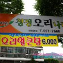 청정오리나라 티스토리