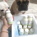 최정언산양목장 이미지