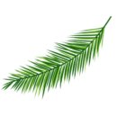 안재경약국 이미지