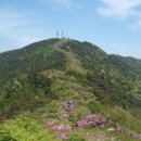 철쭉과 바다와 함께 한 남해망운산 이미지