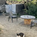 구좌 라파 김두성 할머니집 이미지