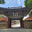 지리산성대종주(26-06-09~~12) 이미지