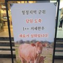 에드엠 내몸사랑 둔산점 | 대전 둔산동 소곱창 맛집 미소곱창 둔산직영점 맛있는 메뉴 서비스 각종 이벤트는 덤