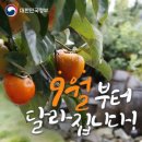 여름 방학 문화생활