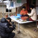 약이 되는 산야초 이미지