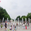여벌 옷만 챙기세요! 시원한 '서울 바닥분수 명소' 모음 이미지