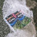 애니아이 이미지