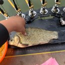 힐링낚시터 이미지