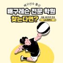 배구레슨전문LHJ컴퍼니 이미지