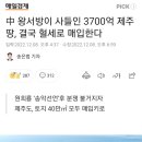 中 왕서방이 사들인 3700억 제주땅, 결국 혈세로 매입한다 이미지