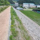 무주 당산대교 이미지