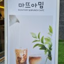 마뜨아밈 이미지