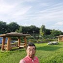 영영 당구장 Daum카페