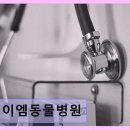 제이엠동물병원