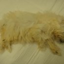 신석초교 이미지