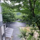 금방아민박캠핑장 이미지