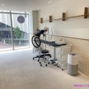 바나나 반려견 미용실 이미지