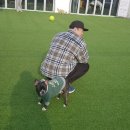 썸바디독스 이미지