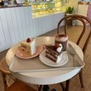 Pat a cake(팻어케이크)