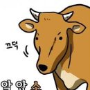 미당뭉티기